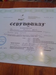 Сертификат по гештальт-терапии, 2 ступень (квалификация гештальт-терапевт)